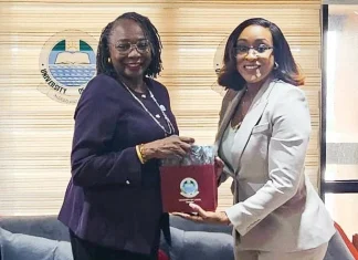 NDPHC seeks electricity infrastructure optimisation to drive economic growth