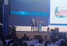 Delta earmarks $100m viability fund to de-risk investments, attract private capital – Oborevwori