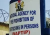 NAPTIP secures 20 SGBV convictions, rescues 3,000