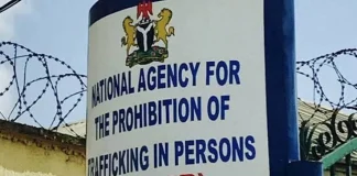 NAPTIP secures 20 SGBV convictions, rescues 3,000