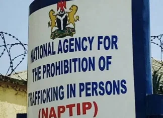 NAPTIP secures 20 SGBV convictions, rescues 3,000