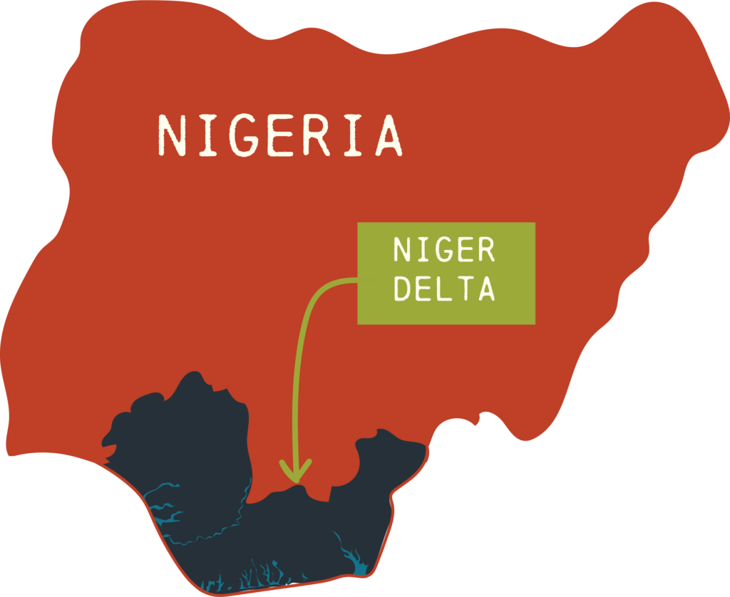 Transition énergétique au Nigeria : les ONG exigent plus de transparence