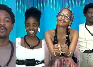 BBNaija housemates reflect on nominations as diary sessions expose shifting alliances