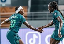 Super Falcons crash out of WAFCON after 1-0 loss to Cameroon