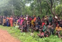 Military rescues 363 victims, arrests terrorists in nationwide operations