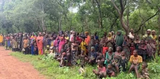 Military rescues 363 victims, arrests terrorists in nationwide operations