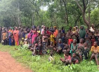 Military rescues 363 victims, arrests terrorists in nationwide operations