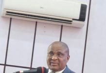 AANI President seeks secure environment to unlock Nigeria’s Orange Economy