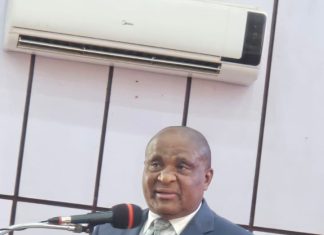 AANI President seeks secure environment to unlock Nigeria’s Orange Economy