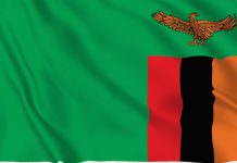 Zambia closes top courts as election challenge deadline nears