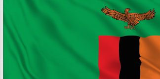 Zambia closes top courts as election challenge deadline nears