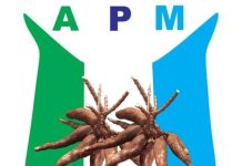 APM faults Okpebholo over Nigeria UK fuel price comparison