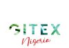 GITEX launches MINT AFRICA in Lagos to shape digital finance