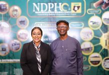 NDPHC to launch renewable energy investments in Northern Nigeria