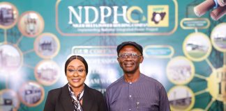 NDPHC to launch renewable energy investments in Northern Nigeria