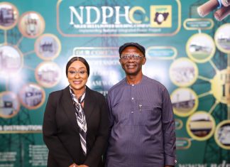 NDPHC to launch renewable energy investments in Northern Nigeria