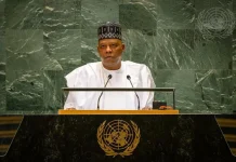 Shettima urges Africa to process minerals locally