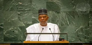 Shettima urges Africa to process minerals locally