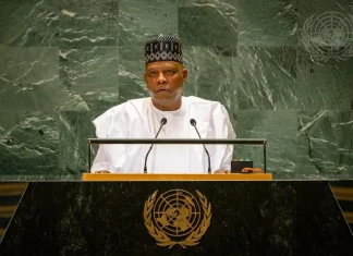 Shettima urges Africa to process minerals locally