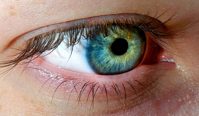 eye care