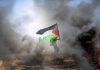 Sisi, Abbas discuss Gaza ceasefire and political settlement