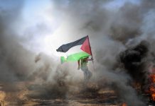 Sisi, Abbas discuss Gaza ceasefire and political settlement