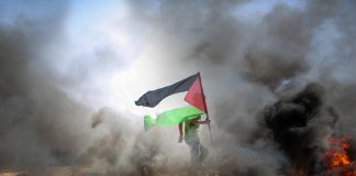 Sisi, Abbas discuss Gaza ceasefire and political settlement