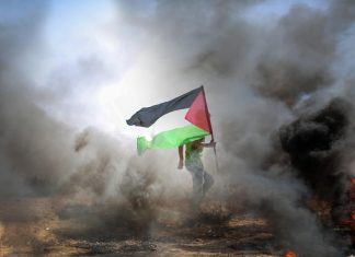 Sisi, Abbas discuss Gaza ceasefire and political settlement