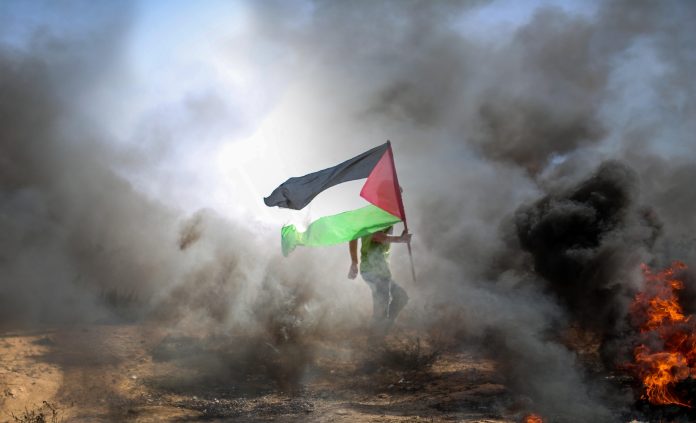 gaza strip