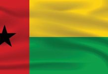 Guinea-Bissau approves constitution expanding presidential powers