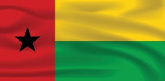 Guinea-Bissau approves constitution expanding presidential powers