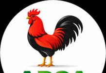 Ebonyi APGA chairman warns members against campaign violence ahead of 2027 elections