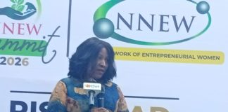 Women entrepreneurs seek collaboration, digital skills and better market access at NNEW summit