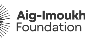 Aig-Imoukhuede Foundation convenes reform leaders to close gap between policy design and delivery
