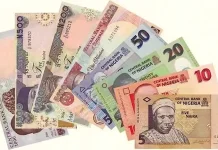 Six ways Nigerians can build income streams that earn beyond working hours