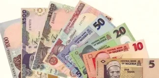 Six ways Nigerians can build income streams that earn beyond working hours