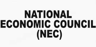 NEC approves N185bn to clear legacy gas debts as OB3 pipeline reaches completion