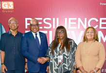 Build stronger institutions to sustain global growth, Access CEO tells African leaders