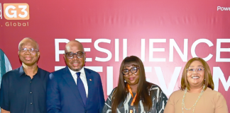 Build stronger institutions to sustain global growth, Access CEO tells African leaders