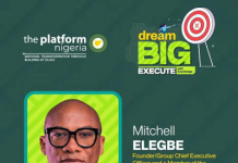 Mitchell Elegbe: Nigeria’s 2050 economic outlook offers vistas of opportunities for entrepreneurs