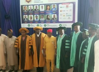 University don urges investment in renewable energy technology