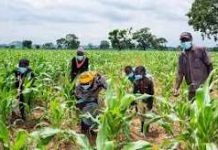 AANI calls for low-interest loans and better security for Farmers