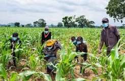 AANI calls for low-interest loans and better security for Farmers