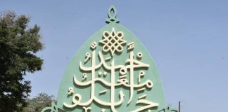 ABU VC urges scientists to develop improved seeds for neglected legumes