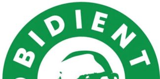 Obidient Movement Outlines Plan to Cut Petrol Price by Half Under Obi